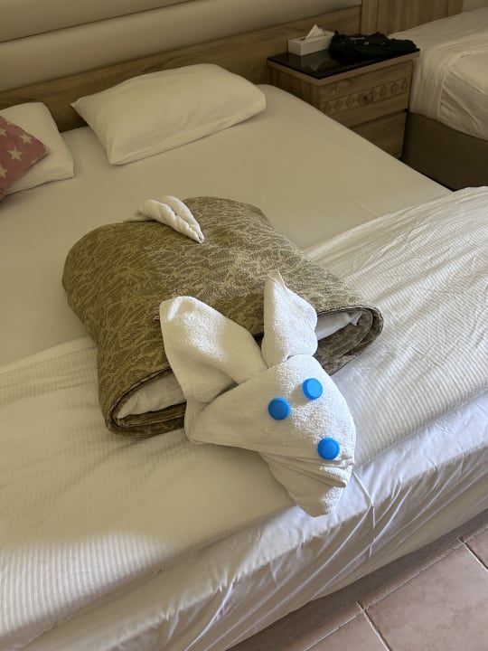 Zimmer Pickalbatros Aqua Blu Resort - Hurghada