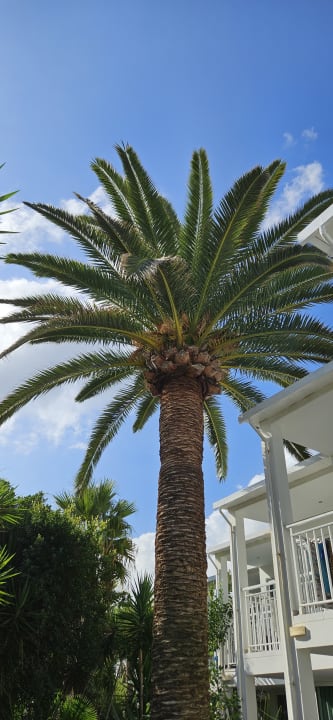 Gartenanlage HARPIN Happy Days Beach Hotel