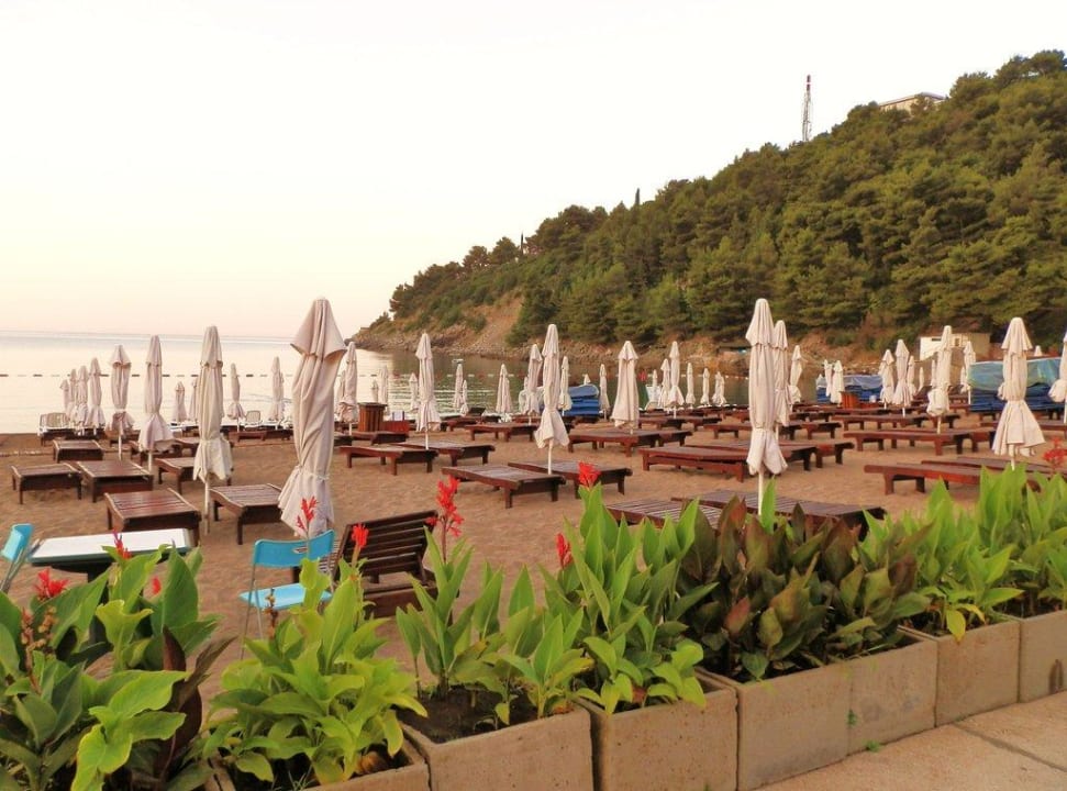 Morze Iberostar Waves Bellevue