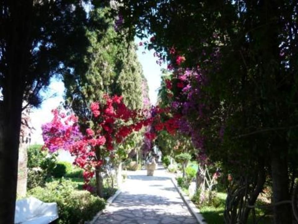 Garten The Orangers Beach Resort and Bungalows