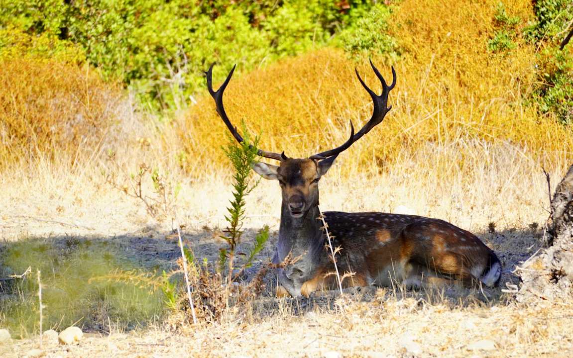 Außenansicht Ekaterini Hotel