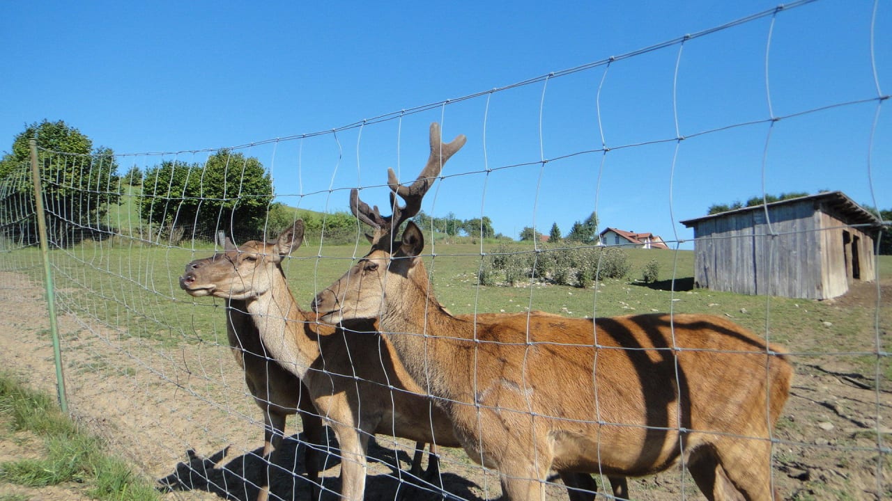 Was für die Kinder Familotel Der Böhmerwald - Euer Familienhotel im Bayerischen Wald