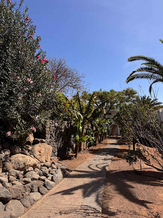 Gartenanlage ROBINSON ESQUINZO PLAYA