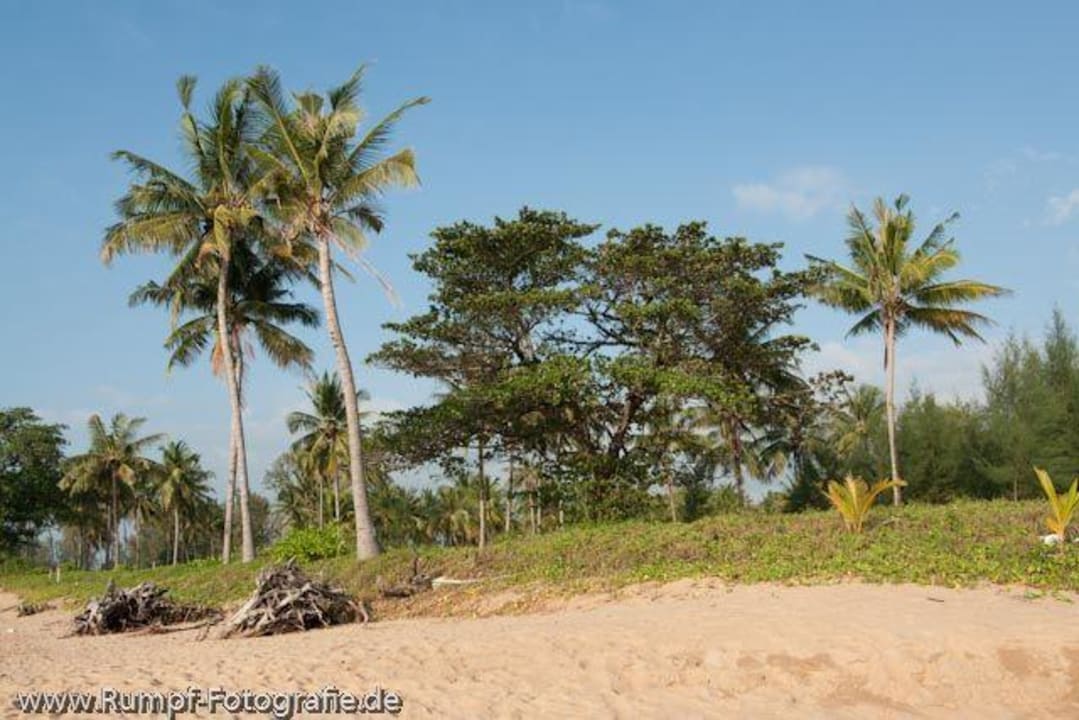 Strand wenige 100m nördlich Khaolak Oriental Resort - Adults only