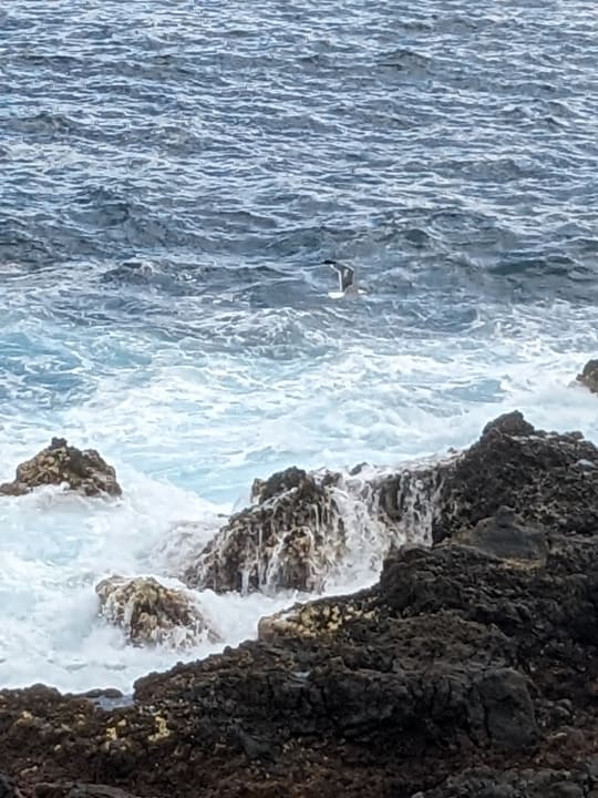 Ausblick Tigaiga Suites