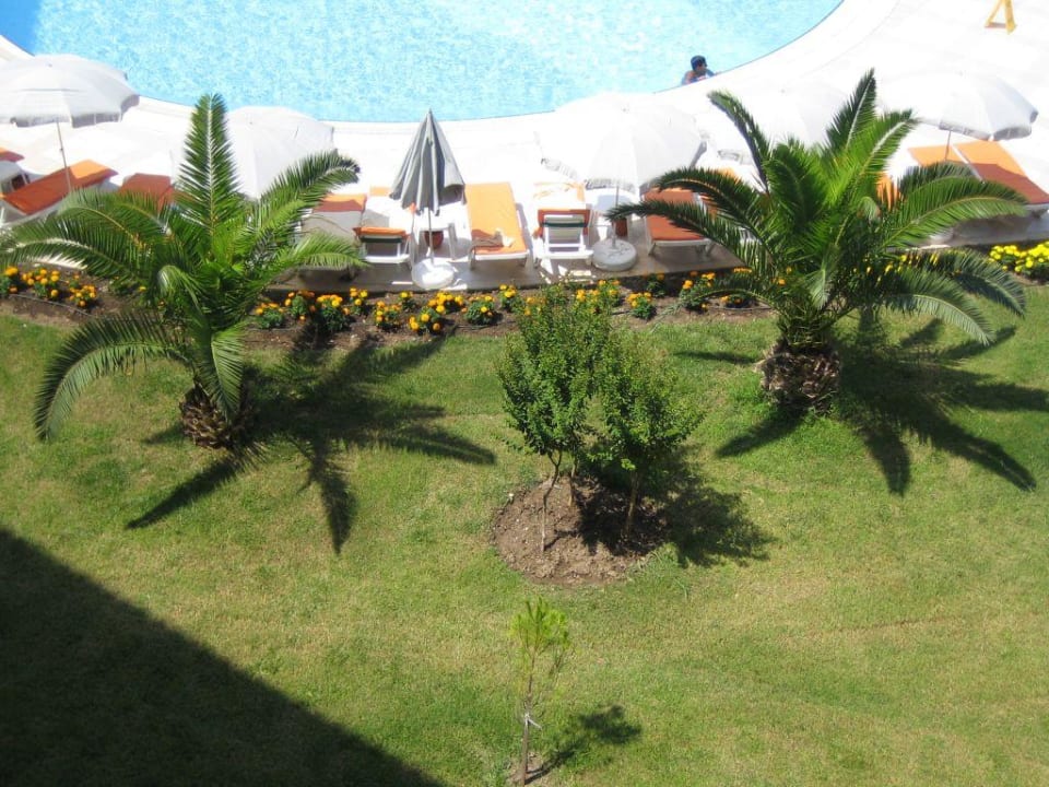 Garten/Pool Akka Claros Hotel