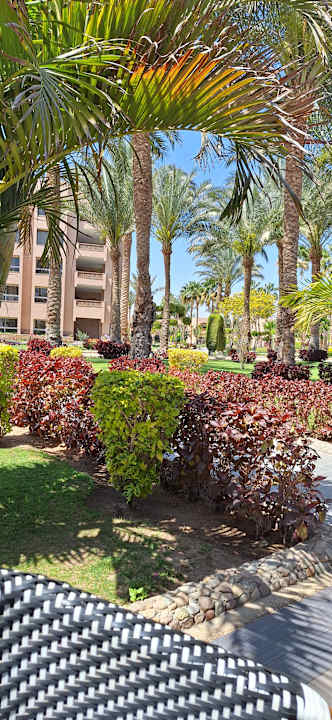 Gartenanlage Continental Hotel Hurghada
