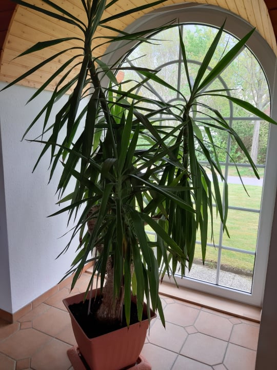 Sonstiges Ferienhaus Dwarslöper