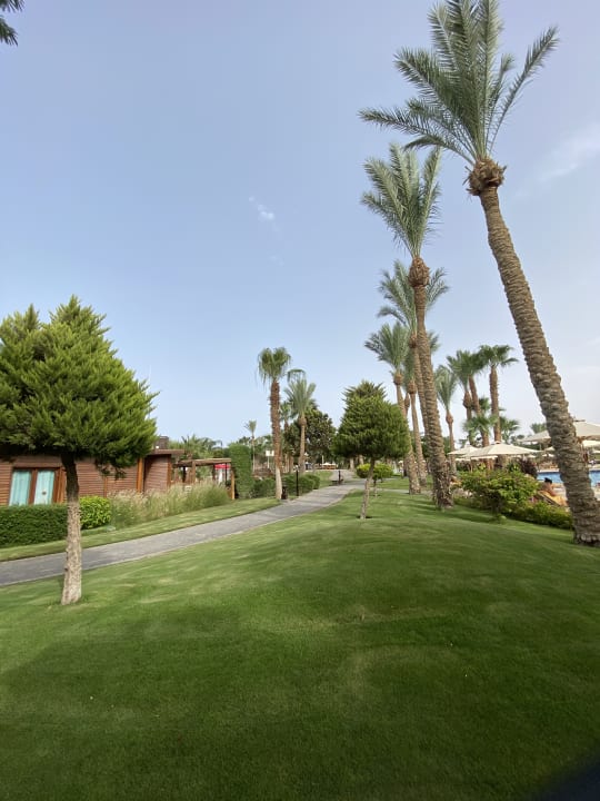 Gartenanlage Steigenberger ALDAU Beach Hotel