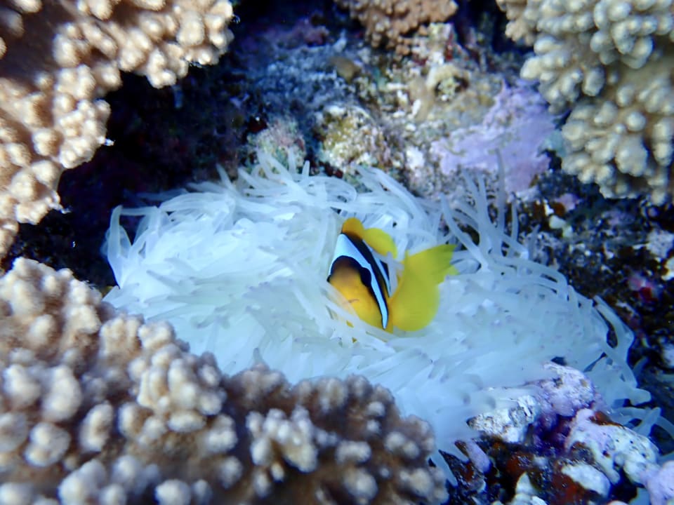 Sport & Freizeit Three Corners Happy Life Beach Resort