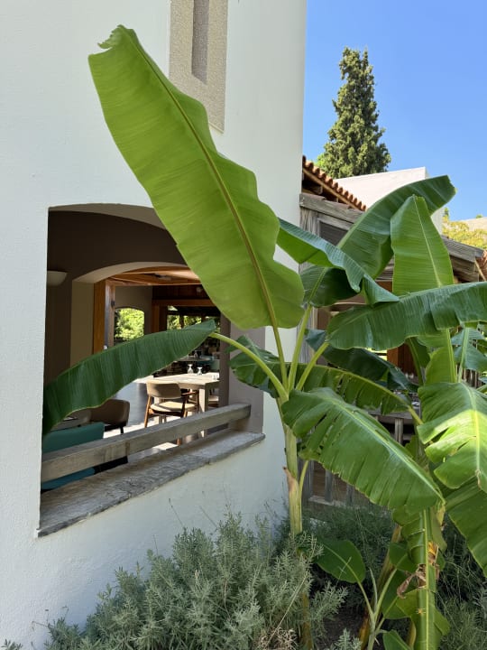 Gastro Hapimag Sea Garden Resort