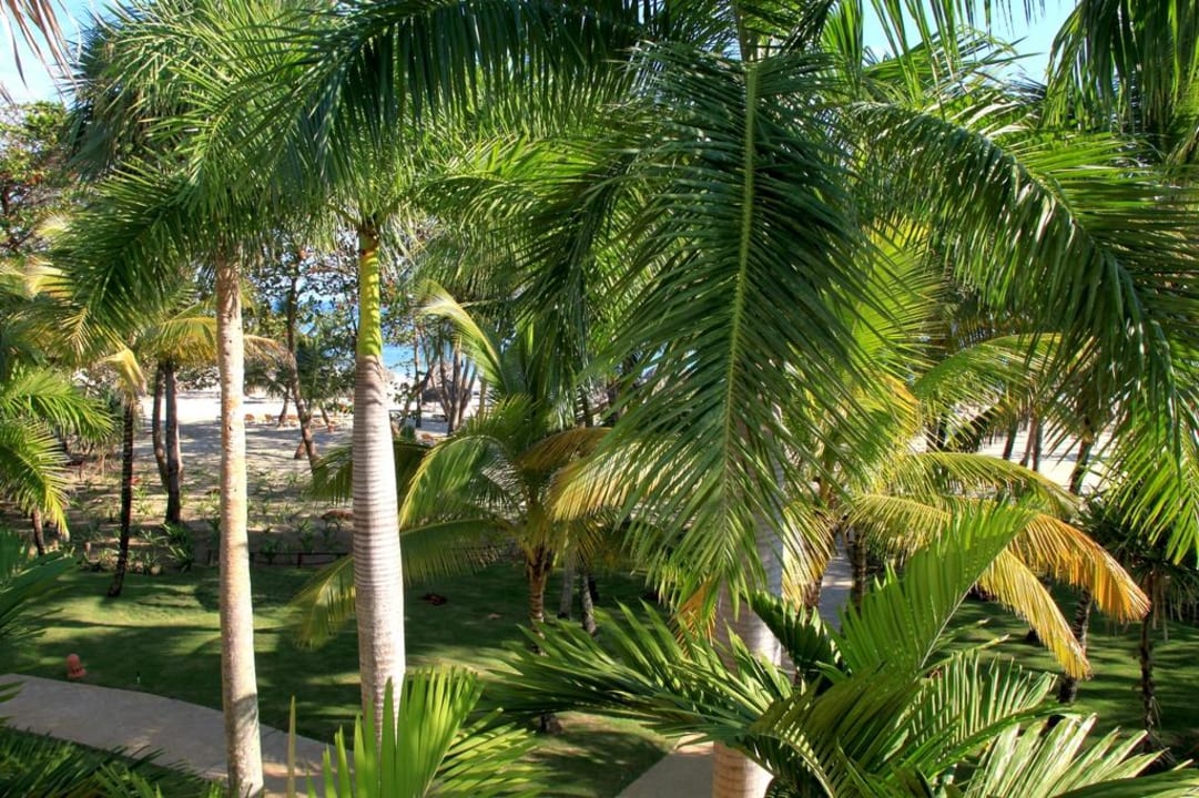 Blick von unserem Balkon Iberostar Waves Costa Dorada