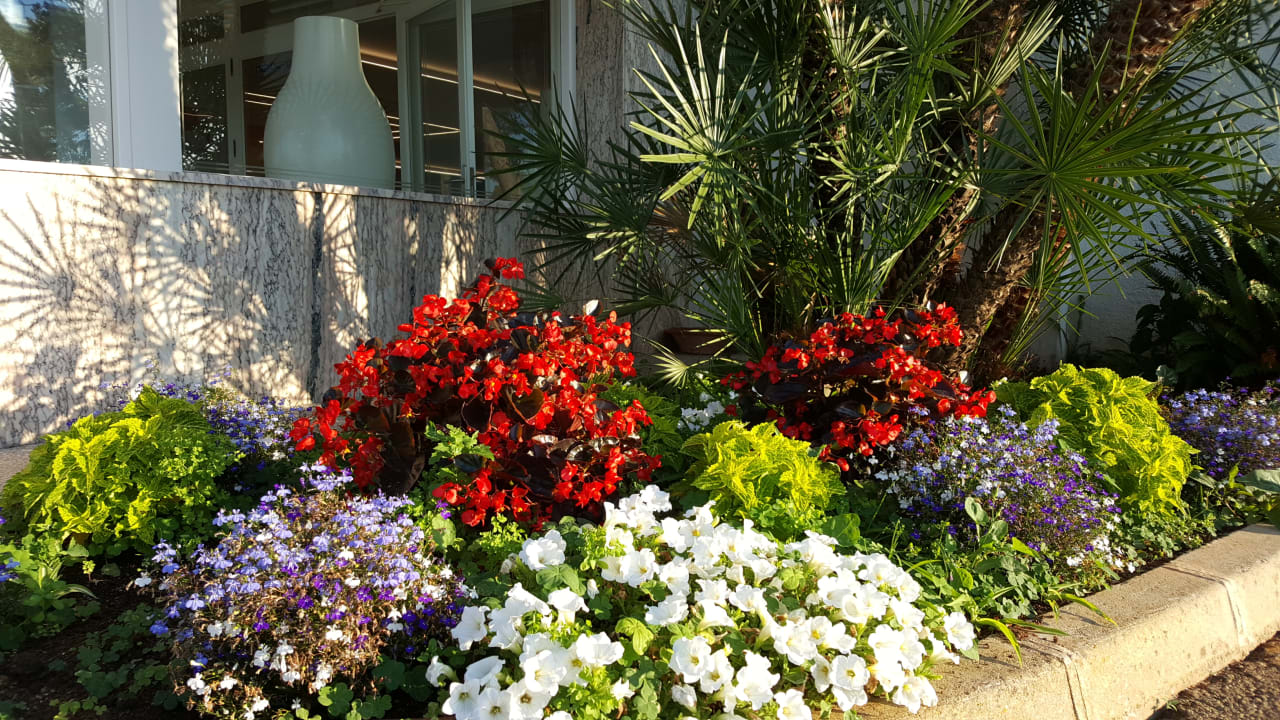 Gartenanlage Millor Sol