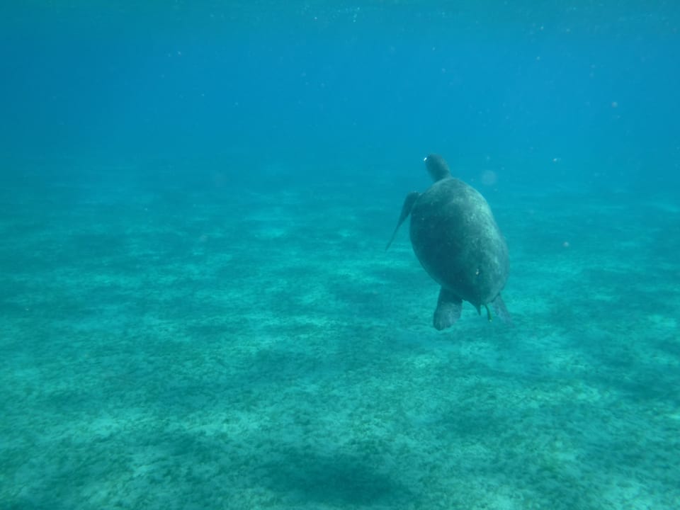 Sport & Freizeit Three Corners Sea Beach Resort