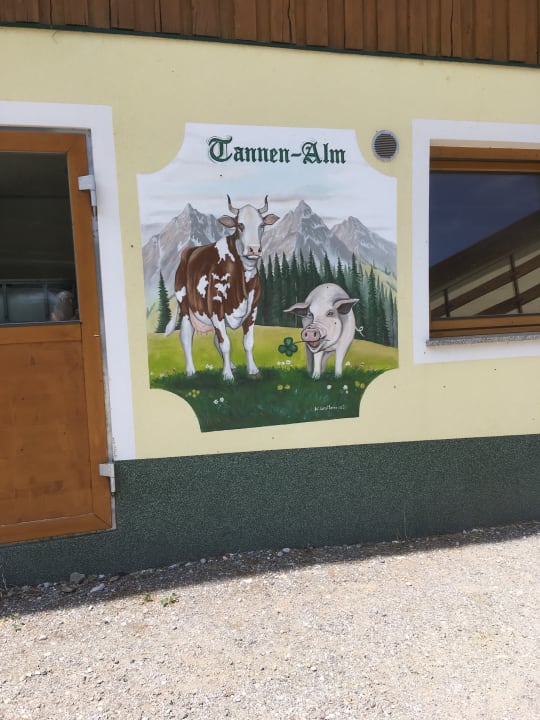 Außenansicht Alpengasthof Tannenalm