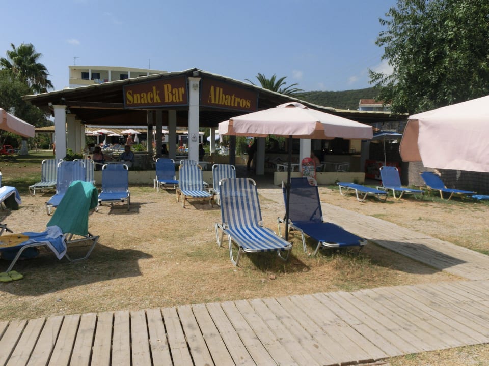 Liegen  Hotel Albatros