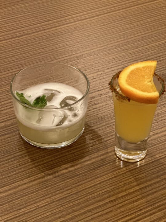 Gastro Papillon Ayscha