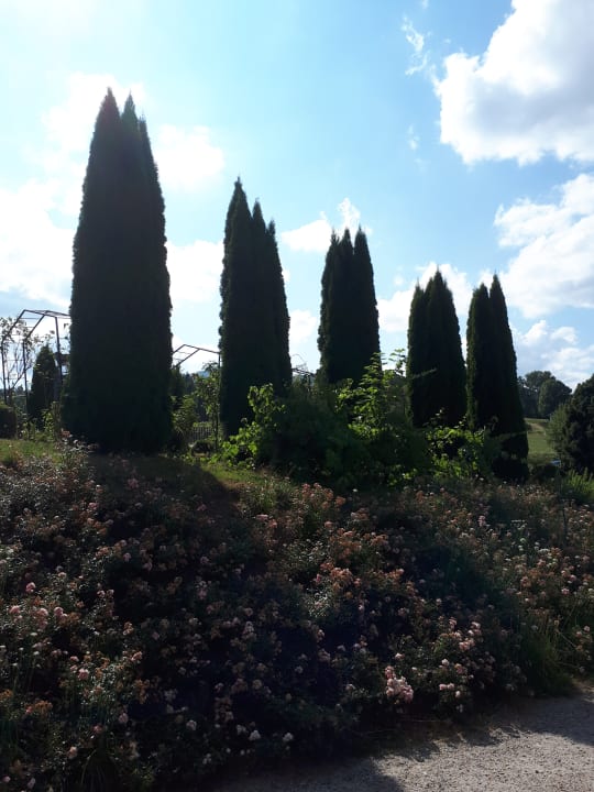 Gartenanlage Spirit & SPA Hotel Birkenhof am Elfenhain