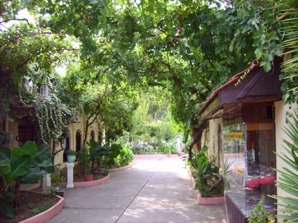 Hotel Eingangsbereich Hotel Mari