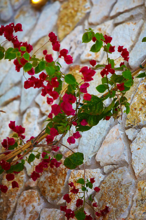 Gartenanlage Sivota Diamond Spa Resort