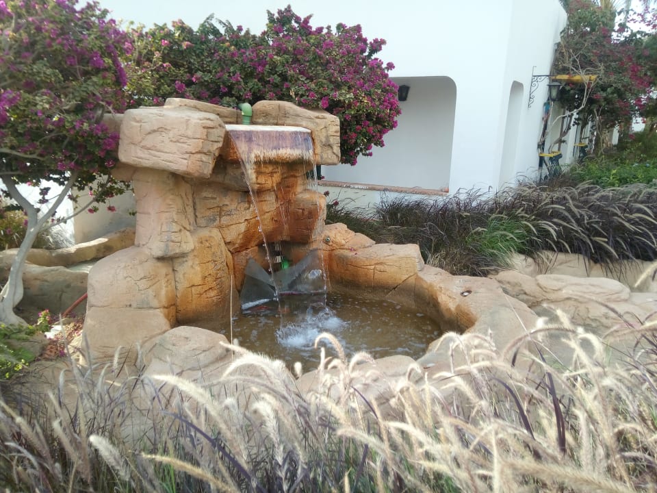 Gartenanlage Lotus Bay Beach Resort