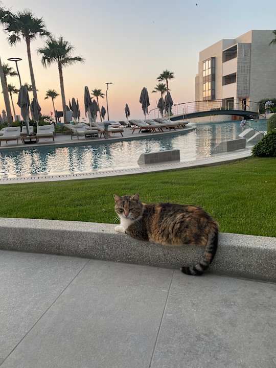 Pool AMIRA Luxury Resort  Adults Only