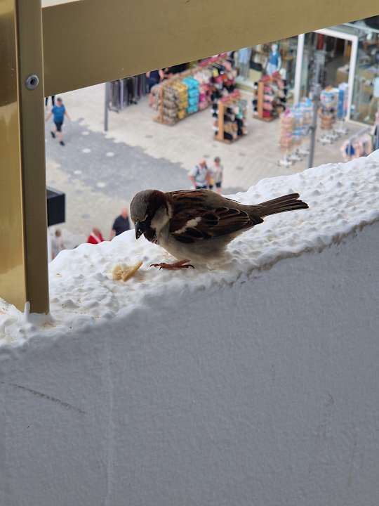 Zimmer Hotel Biniamar