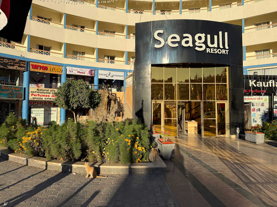 Außenansicht Seagull Beach Resort