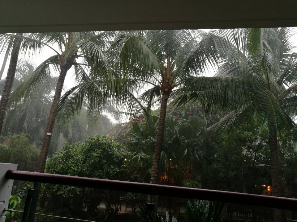 Gartenanlage Hoang Ngoc Beach Resort