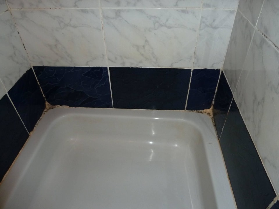 Schimmel in Dusche Desert Rose