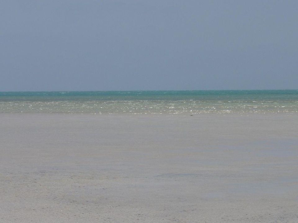 Meer Hotel Bravo Djerba