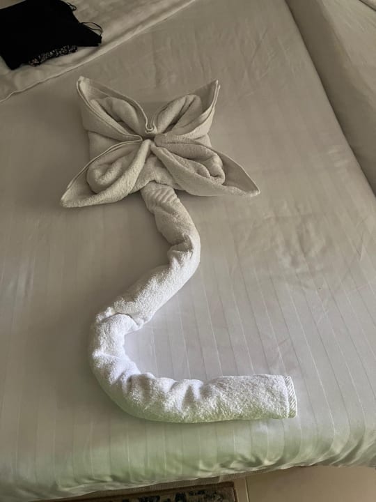 Zimmer Serenity Alpha Beach