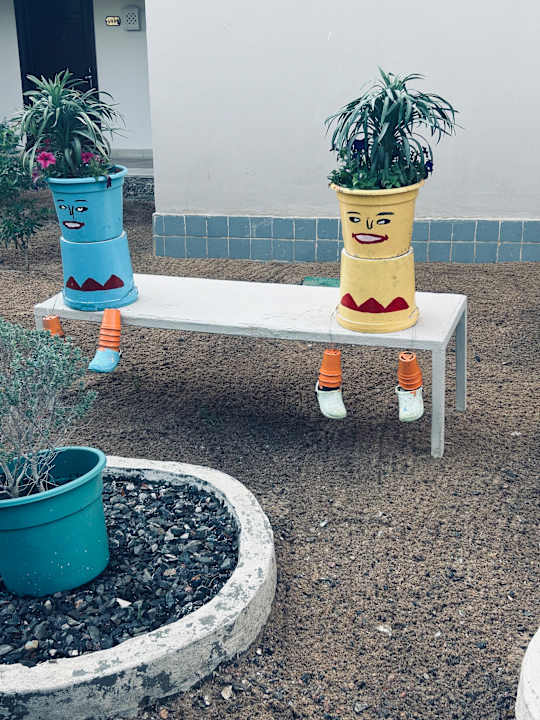 Gartenanlage Jaz Soma Beach