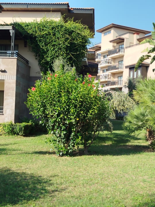 Gartenanlage Calimera Serra Palace