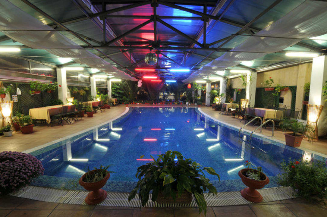 Swimming pool Hotel Bats