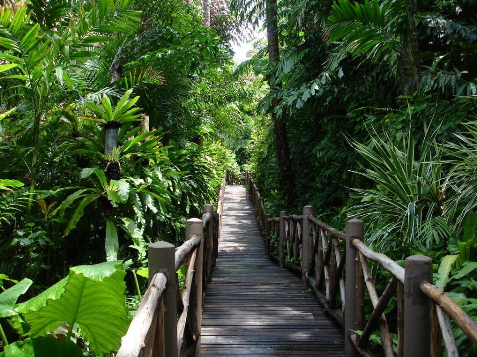 Wege durch die Anlage Marina Phuket Resort