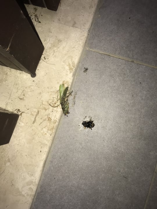 Sonstiges Xanadu Island Hotel