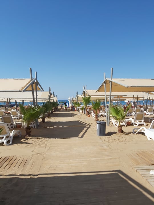 Strand Royal Taj Mahal Hotel