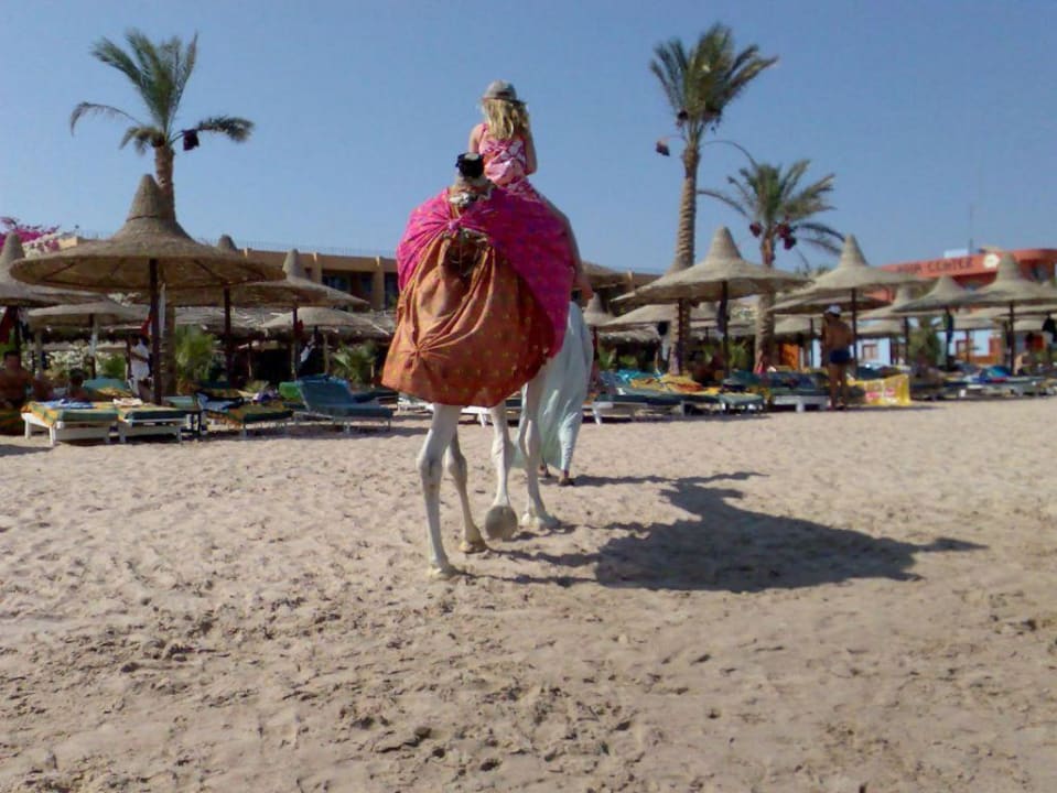 Das Giftun Kamel  Giftun Azur Resort