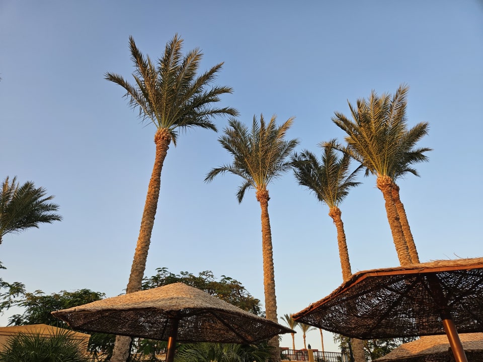 Ausblick Grand Waterworld Makadi & Family Star Makadi