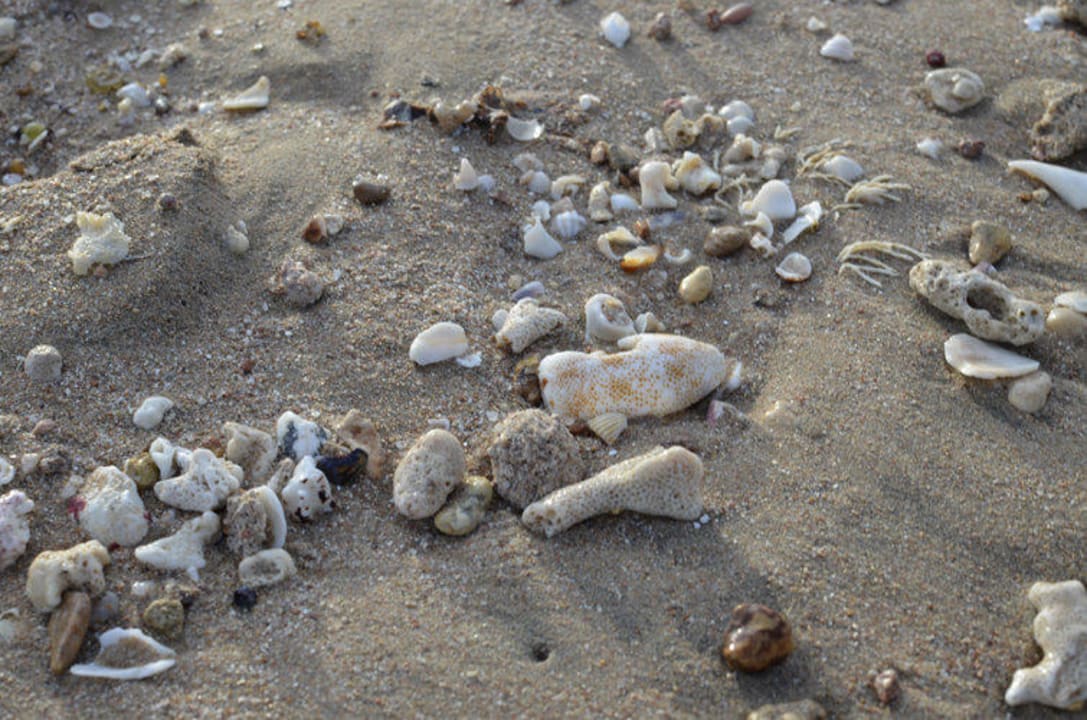 Beach Premier Le Reve Hotel & Spa