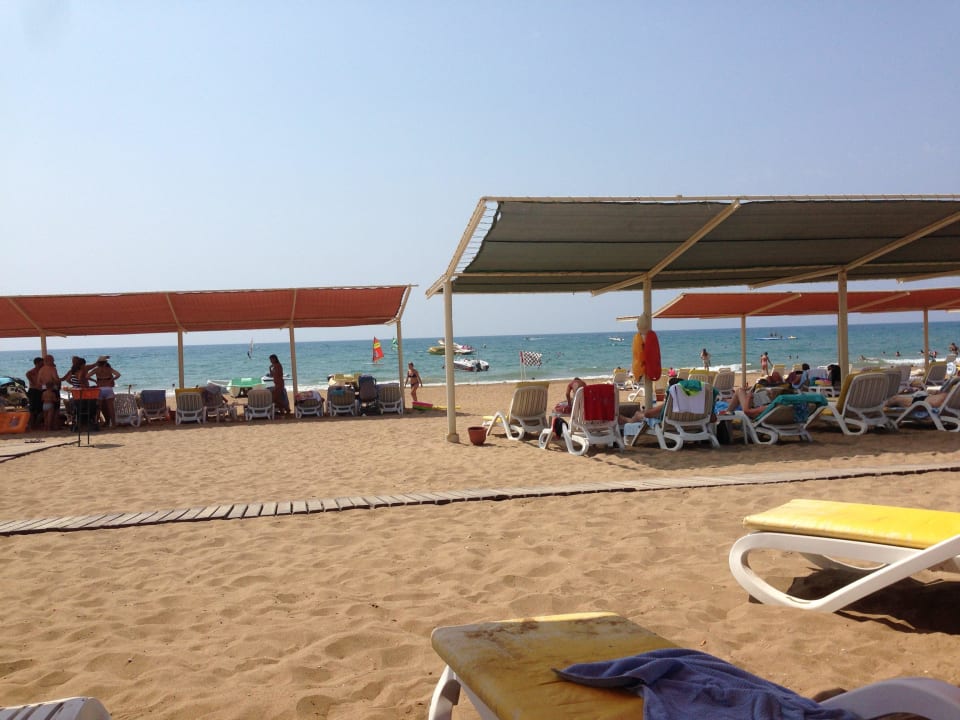 Am Strand Kamelya Aishen Club
