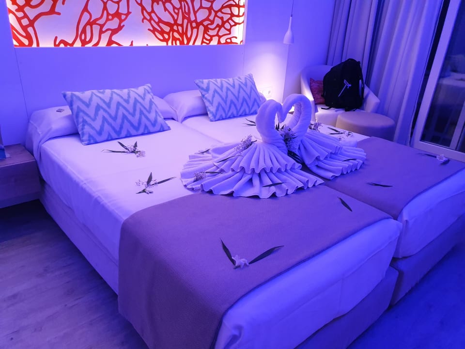 Zimmer The Sea Hotel by Grupotel - Adults only