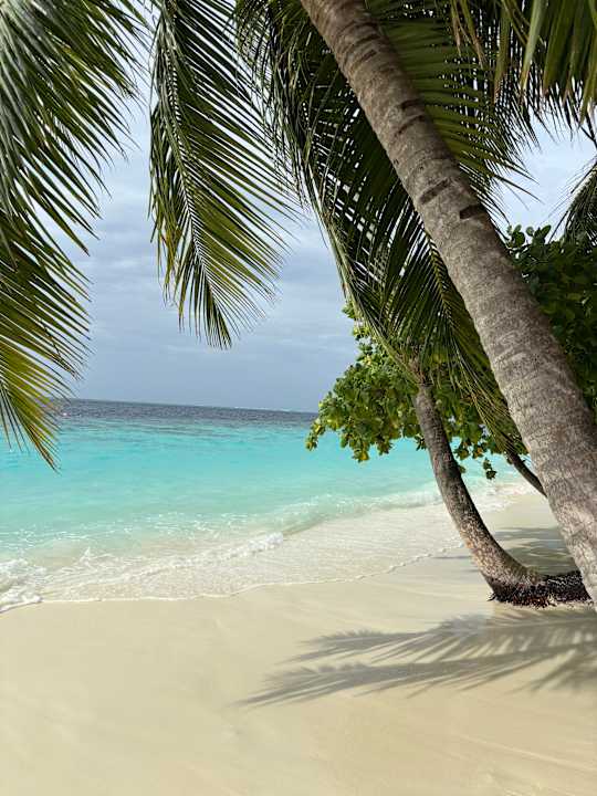 Strand Vilamendhoo Island Resort & Spa