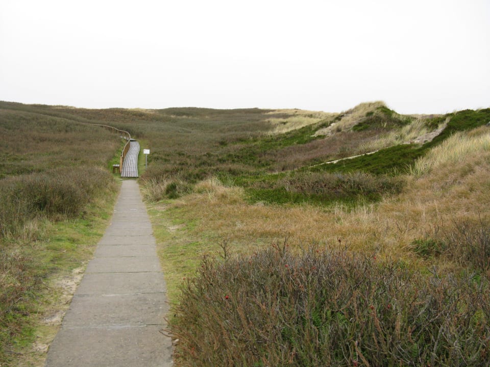 Weg zum Strand gleich hinter dem Hotel Dünenhotel Alt-Rantum