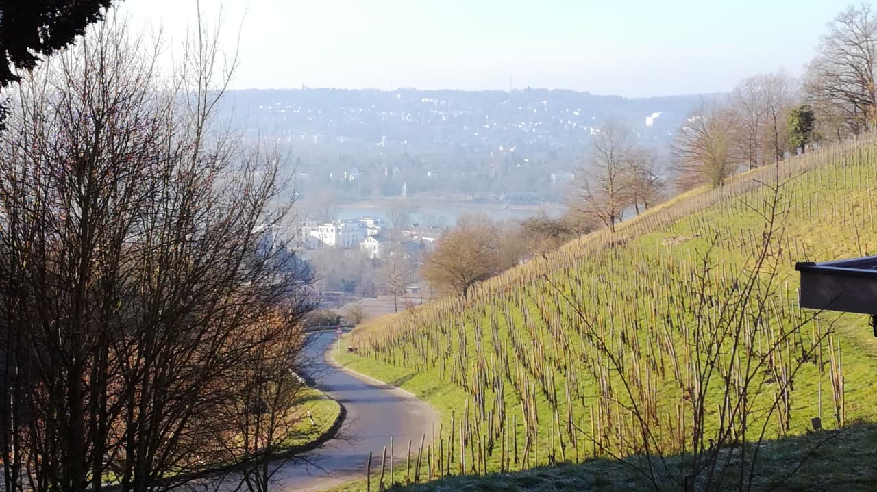 Ausblick JUFA Hotel Königswinter