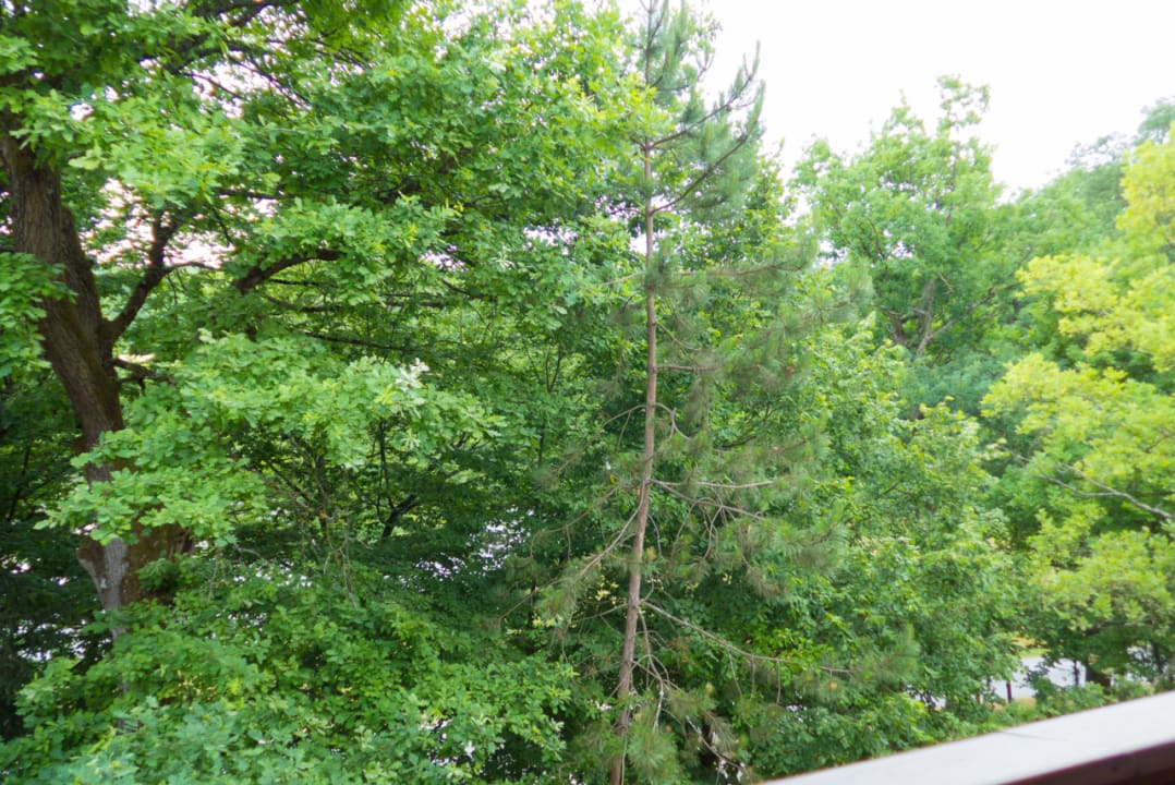 Ausblick Hotel Kreuzberghof