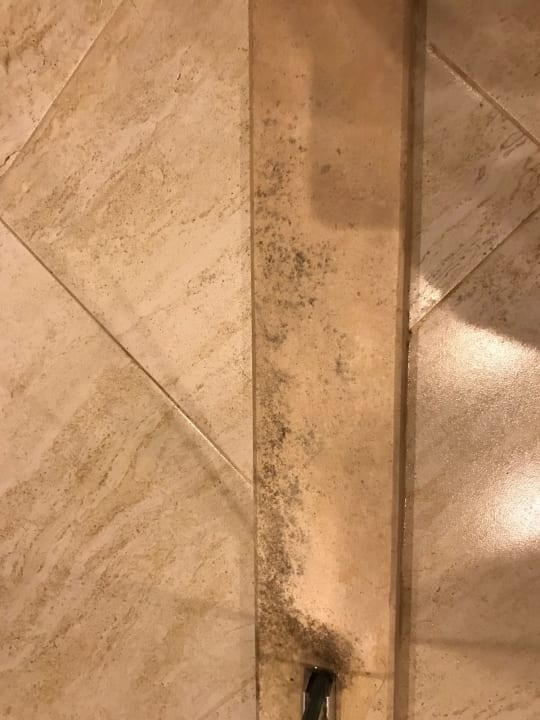 Zimmer iHotel Sunny Beach