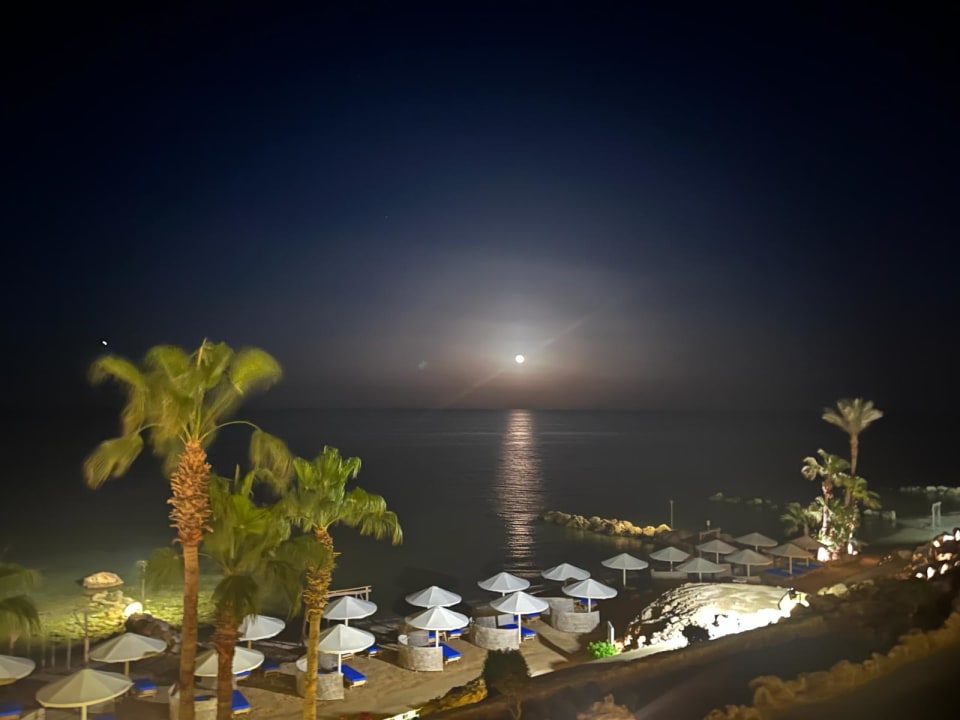 Ausblick Pickalbatros Citadel Resort