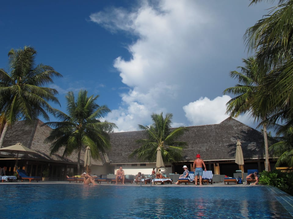 Infinitypool im Adultbereich Vilamendhoo Island Resort & Spa